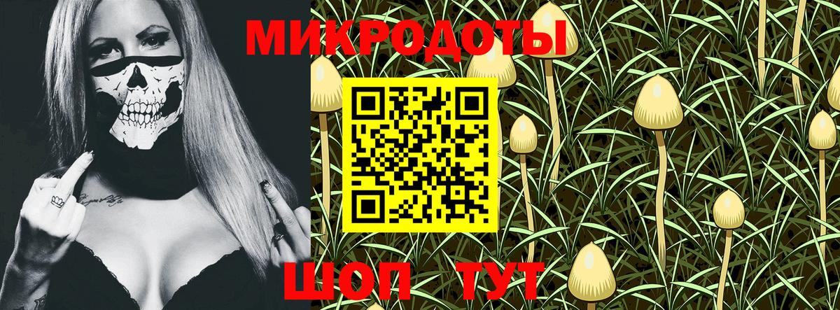Кимры  где найти   Галлюциногенные грибы MAGIC MUSHROOMS  Вход с VPN  Псилоцибиновые грибы ЛСД 