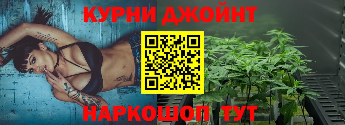 Кимры  Конопля White Widow  Вход с VPN  Шишки марихуана семена  МАРИХУАНА SATIVA & INDICA 